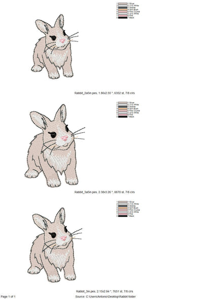 Playing Baby Bunny Rabbit kitchen dish towel animal Thief kids machine embroidery designs ITH