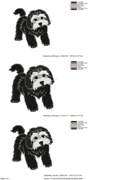 Playing Havanese Havanna Bichon Puppy Dog Mama kitchen dish towel pet animal machine embroidery designs ITH