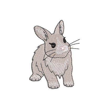 Playing Baby Bunny Rabbit kitchen dish towel animal Thief kids machine embroidery designs ITH