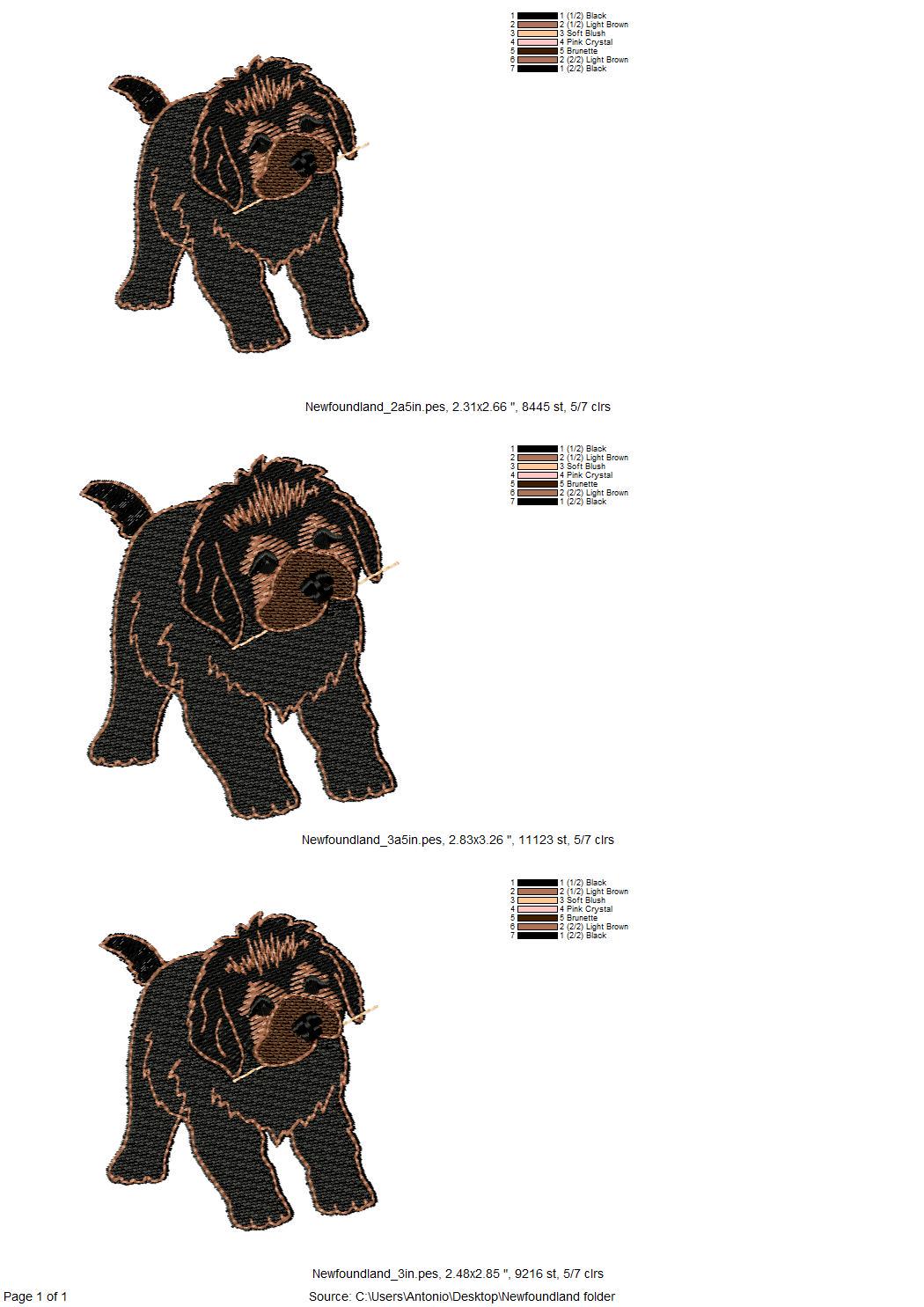 Playing Newfoundland Puppy ITH