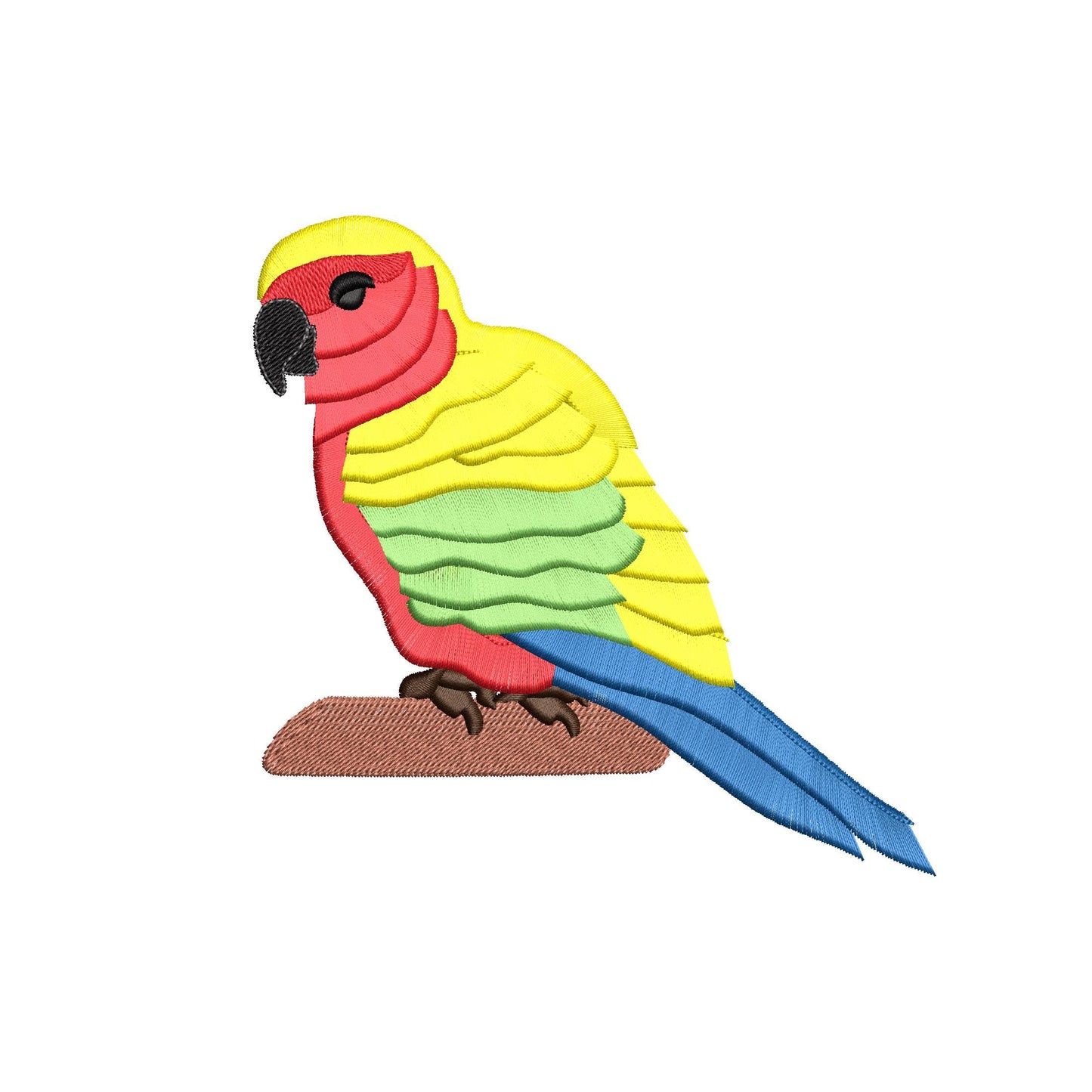 Fluffy Sun Conure Parrot