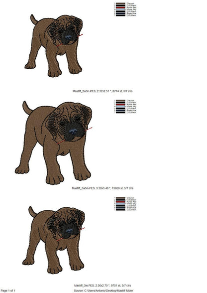 Playing Mastiff Puppy ITH