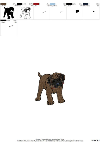 Playing Mastiff Puppy ITH
