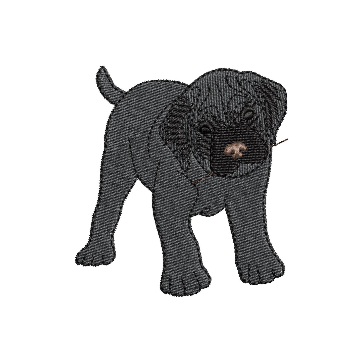 Playing Mastiff Puppy ITH
