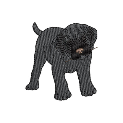 Playing Mastiff Puppy ITH