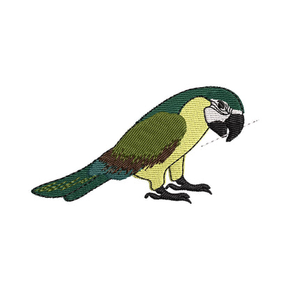 Playing Parrot Bird Thief ITH