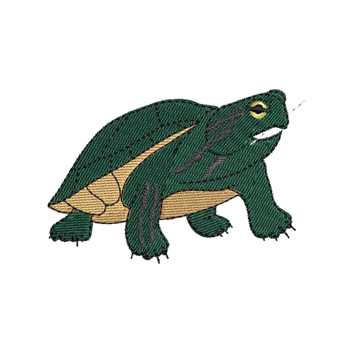 Playing Turtle ITH