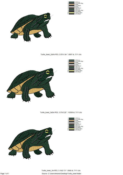 Playing Turtle ITH