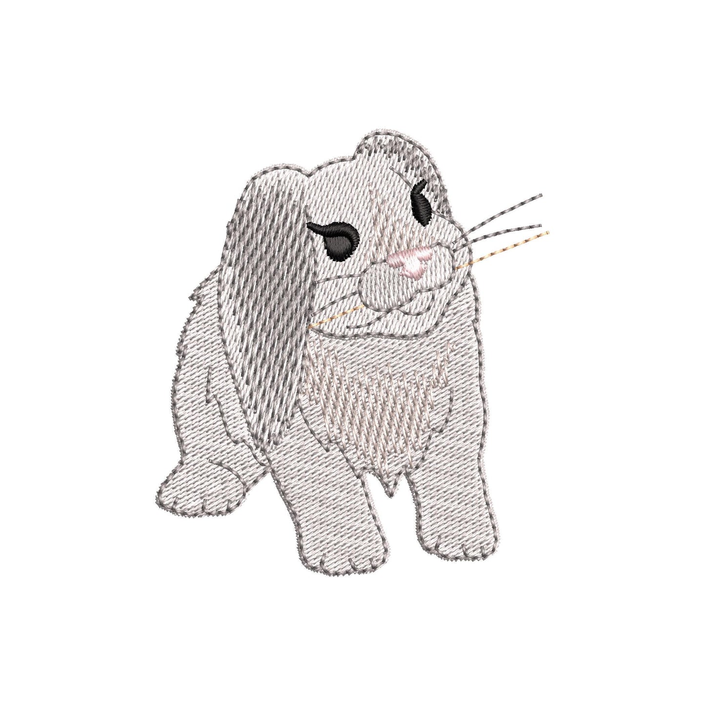 Playing Floppy Ears Bunny