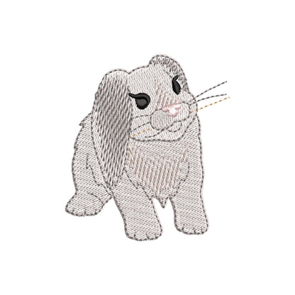 Playing Floppy Ears Bunny