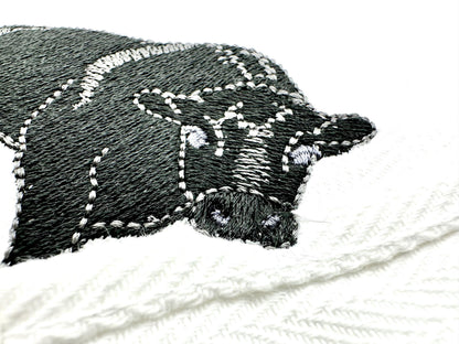 Playing Black Angus Bull