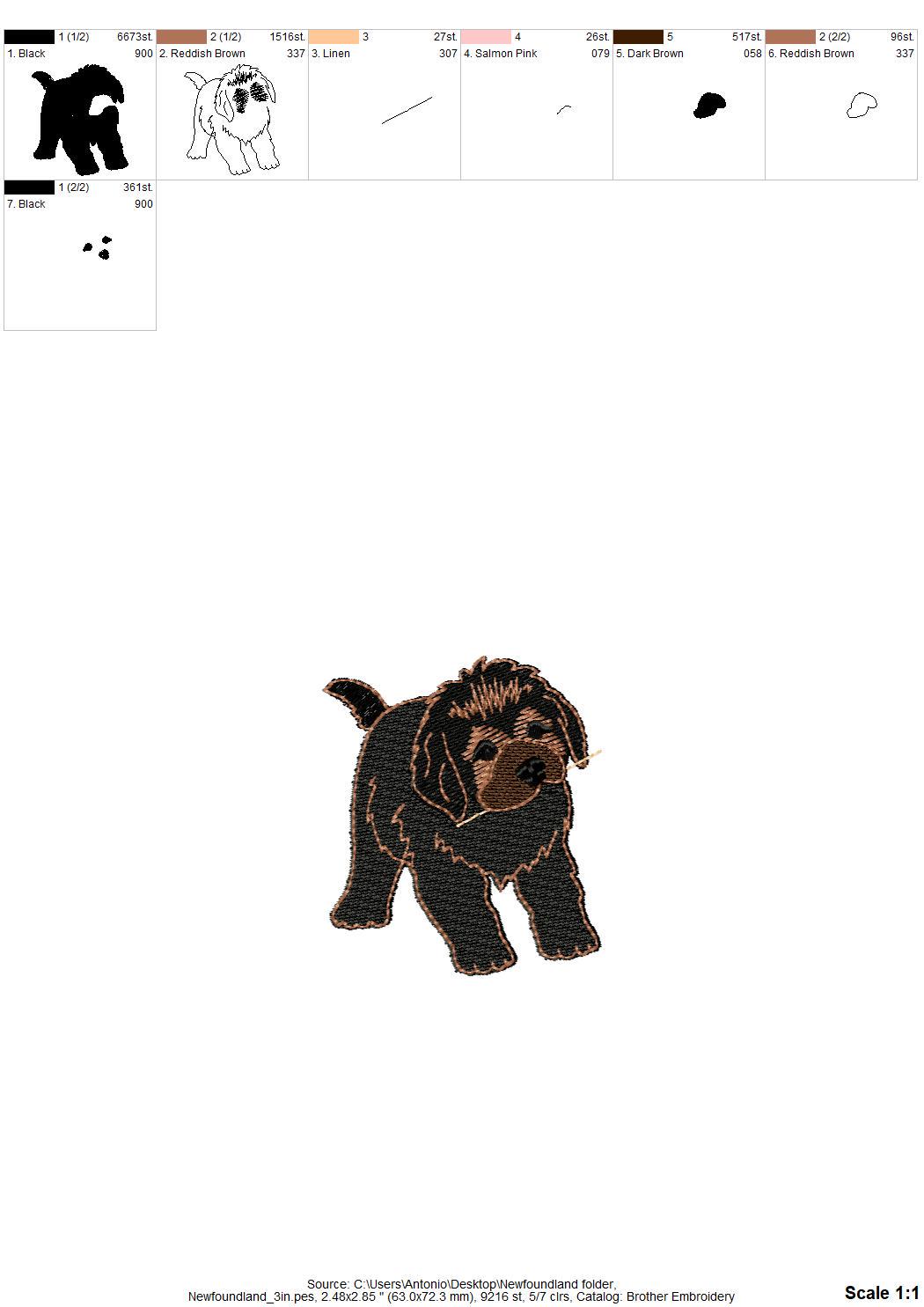 Playing Newfoundland Puppy ITH