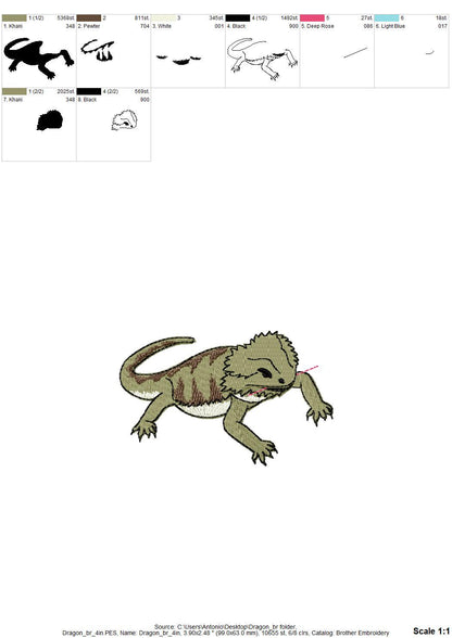Playing Bearded Dragon Gecko