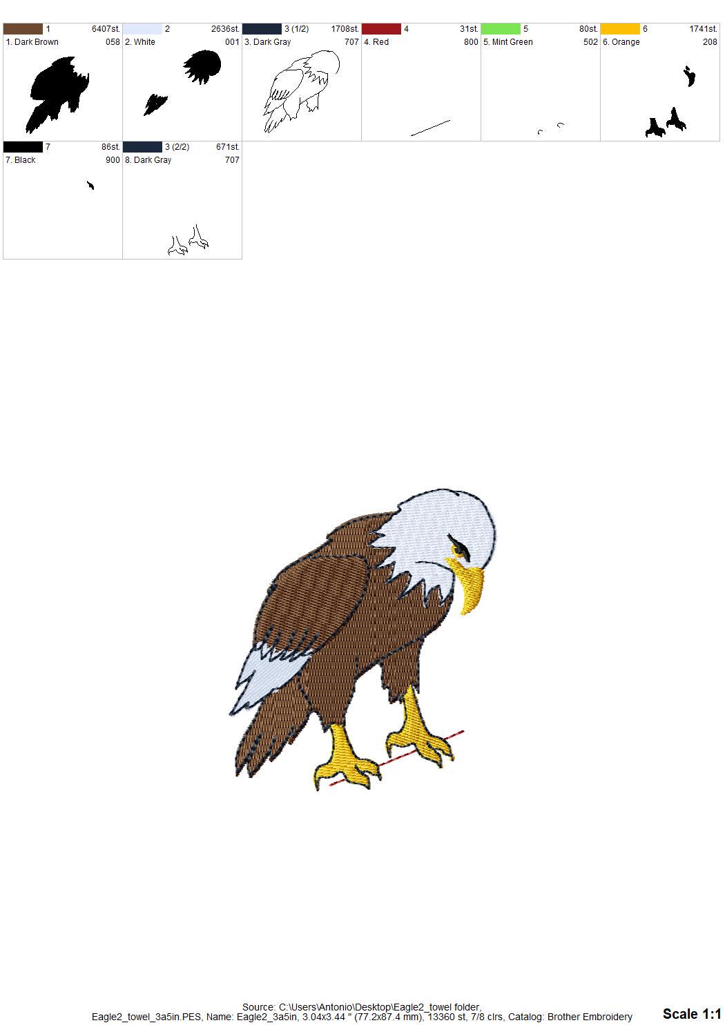 Naughty Playing Bald Eagle