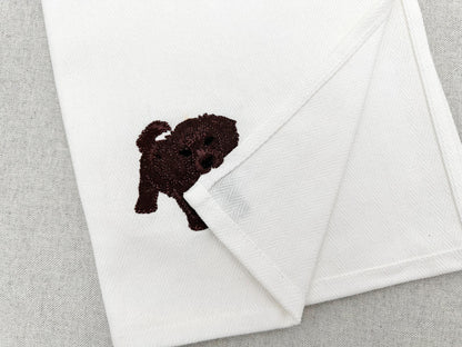 Playing Boykin Spaniel Puppy