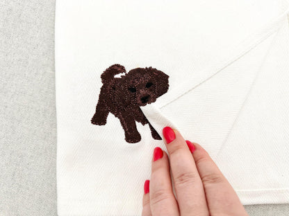 Playing Boykin Spaniel Puppy