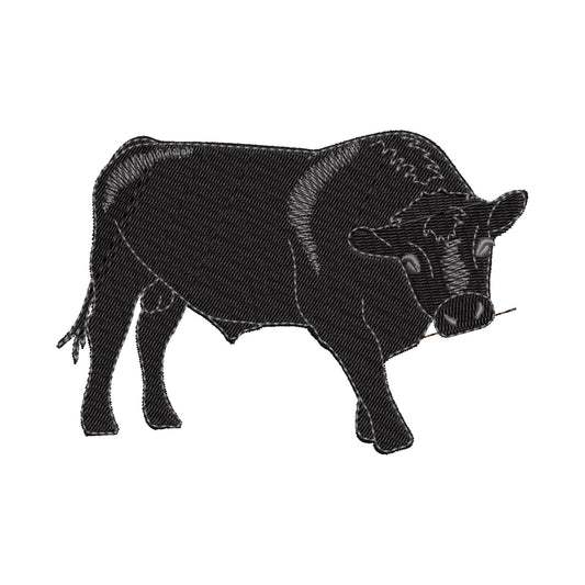 Playing Black Angus Bull