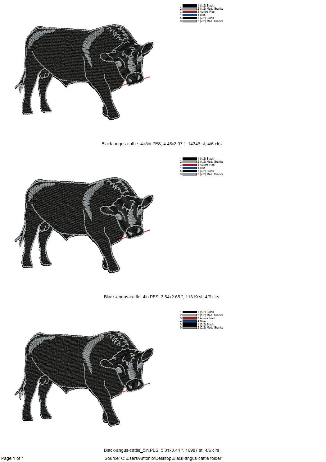 Playing Black Angus Bull