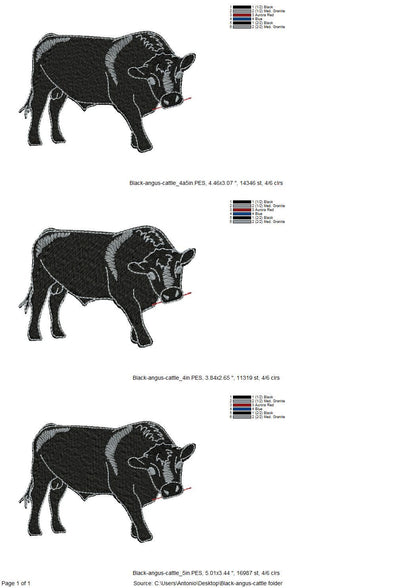 Playing Black Angus Bull