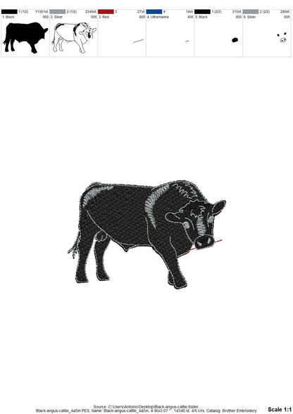 Playing Black Angus Bull