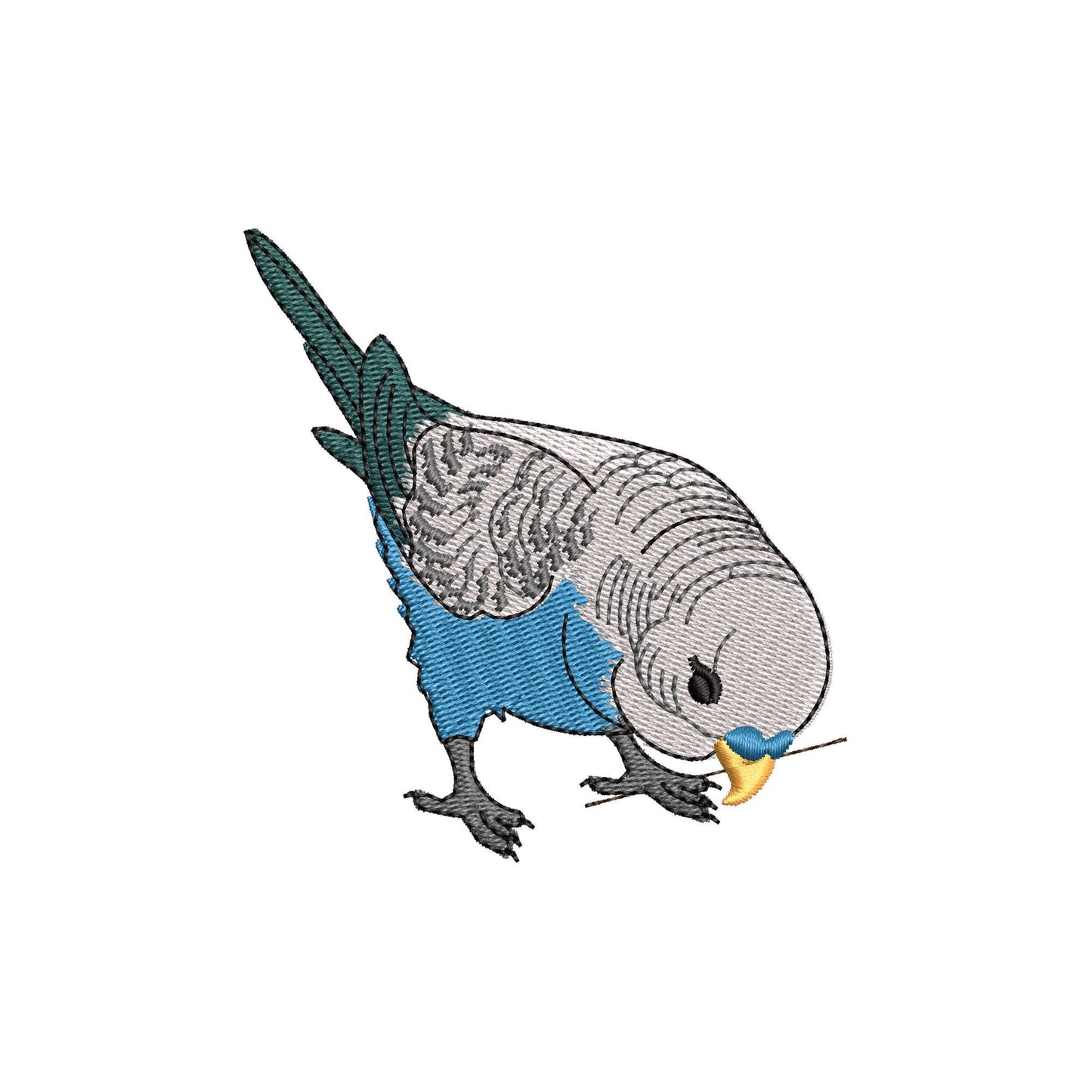 Budgerigar Parakeet Budgie Parrot