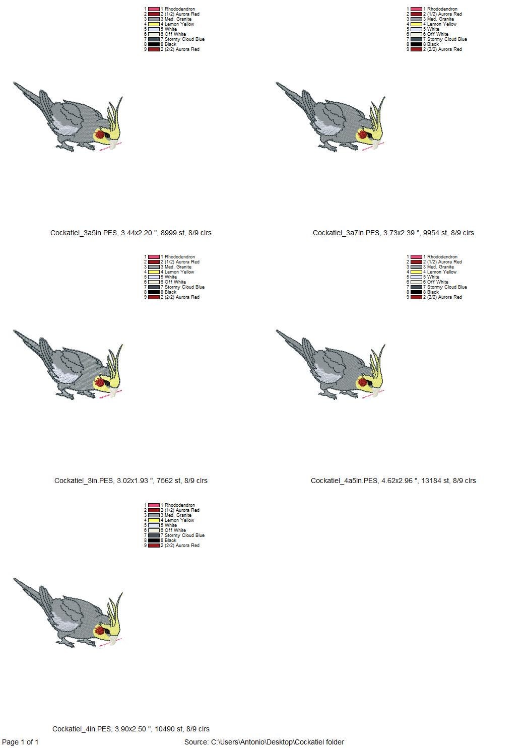 Cockatiel Parrot Thief ITH