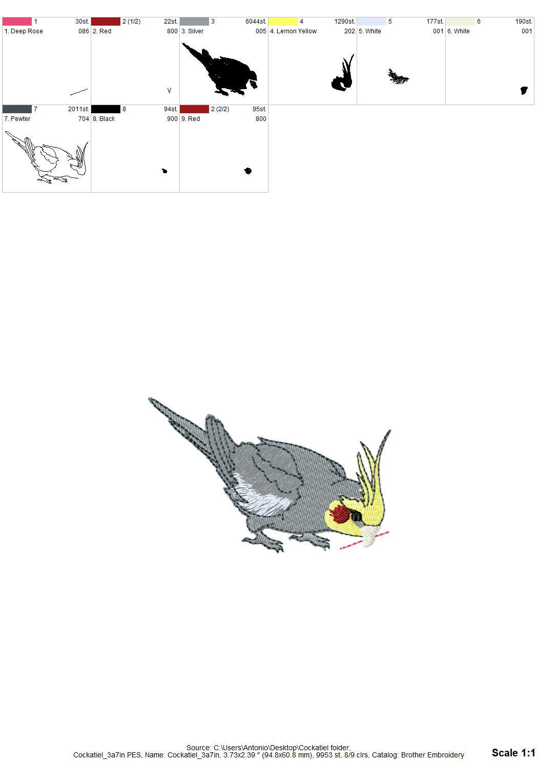 Cockatiel Parrot Thief ITH