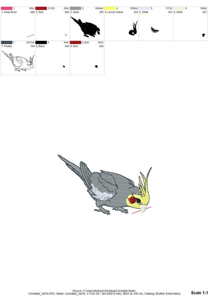 Cockatiel Parrot Thief ITH