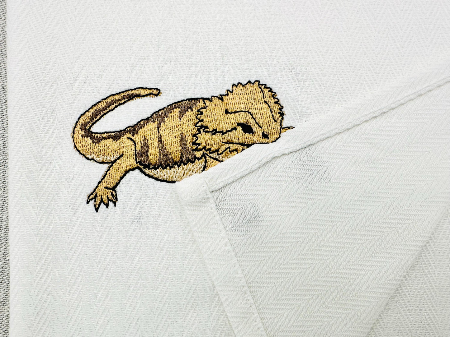 Playing Bearded Dragon Gecko