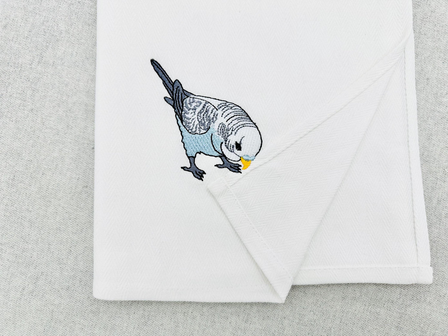 Budgerigar Parakeet Budgie Parrot