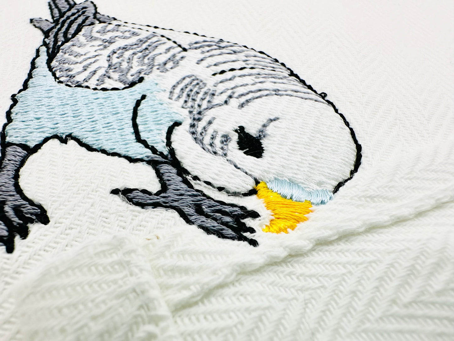 Budgerigar Parakeet Budgie Parrot