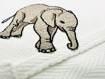 Playing Baby Elephant