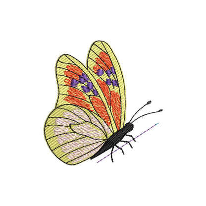 Summer Butterfly Thief
