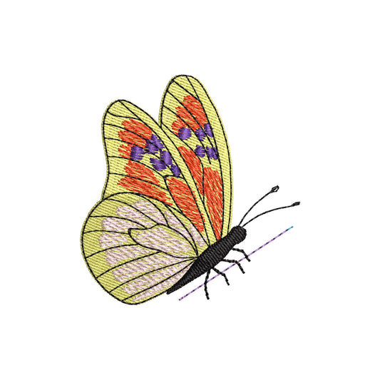 Summer Butterfly Thief