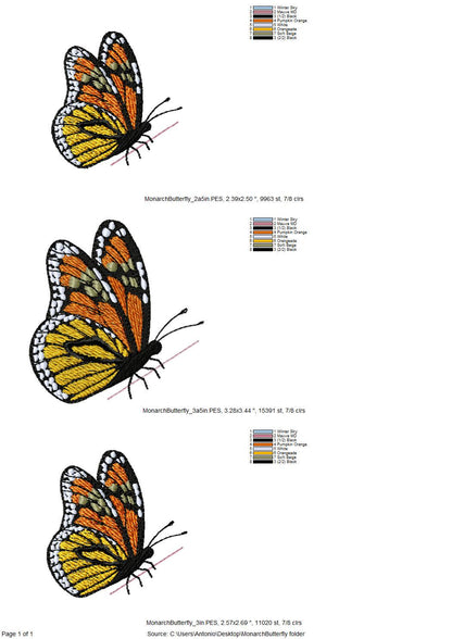 Beautiful Summer Butterfly Monarch
