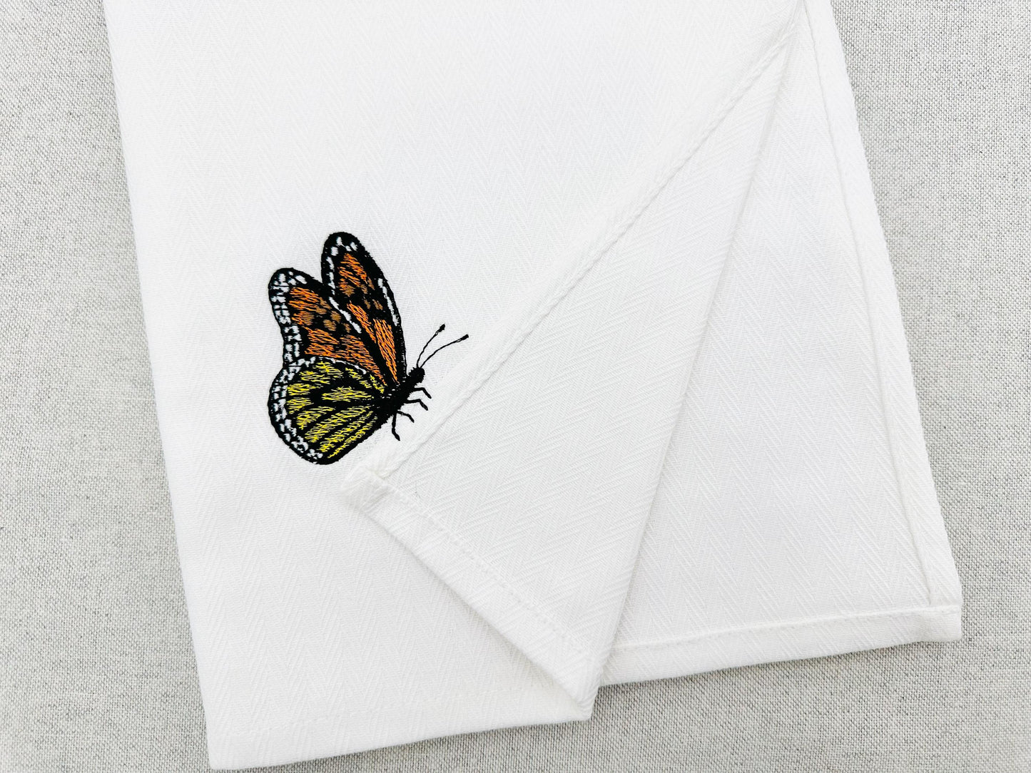 Beautiful Summer Butterfly Monarch