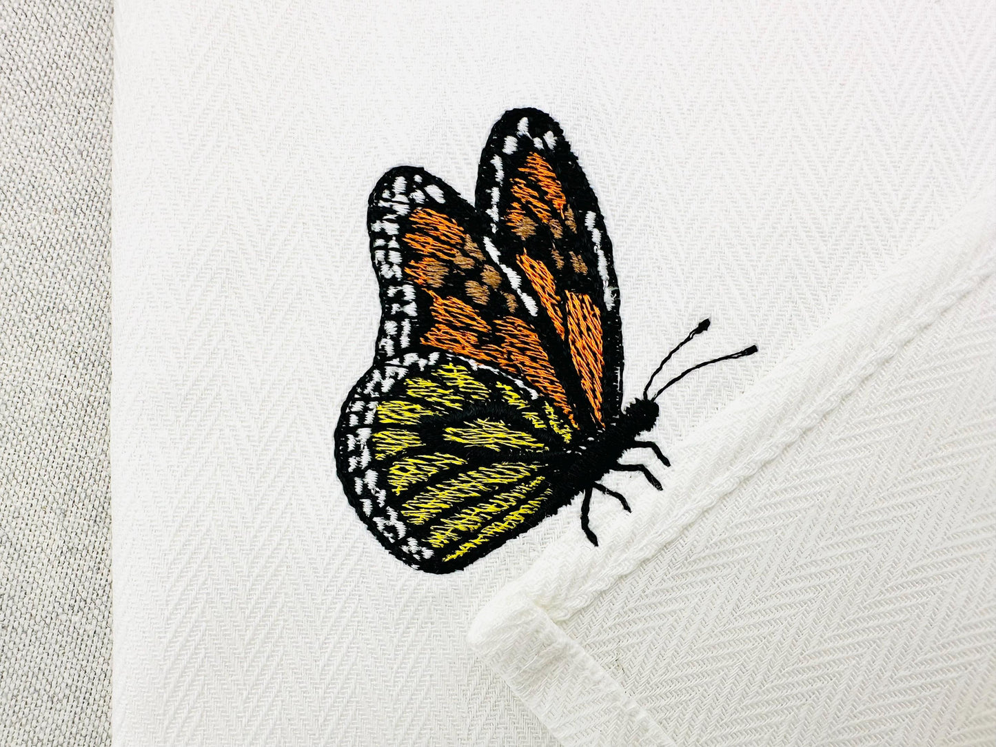 Beautiful Summer Butterfly Monarch