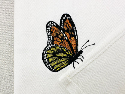 Beautiful Summer Butterfly Monarch