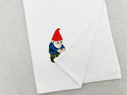 Garden Gnome Thief