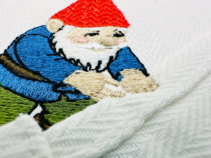 Garden Gnome Thief