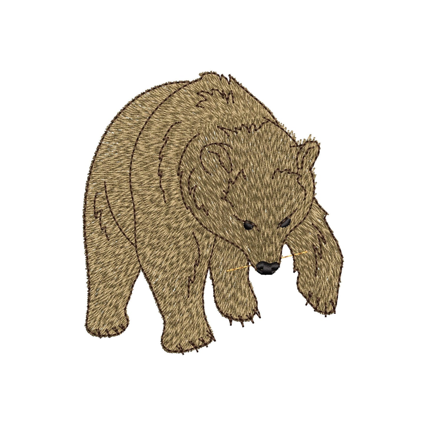 Naughty Playing Bear