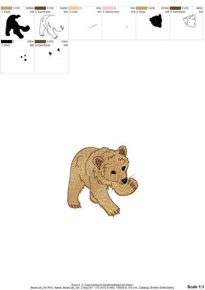 Playing Baby Bear Cub