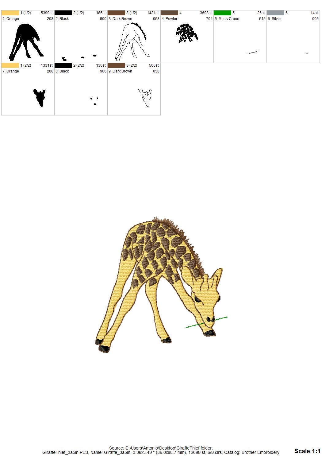 Playing Baby Giraffe