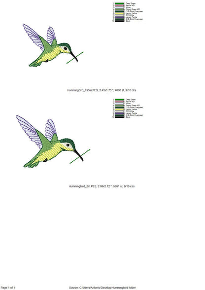 Flying Hummingbird Colibri