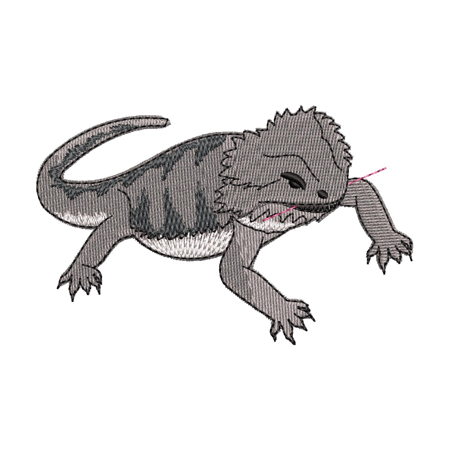 Playing Bearded Dragon Gecko