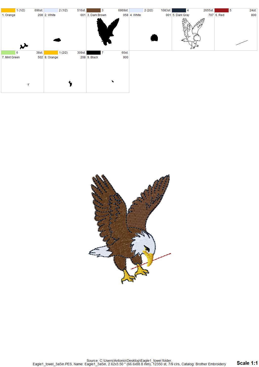 Flying Bald Eagle