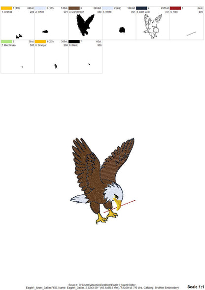 Flying Bald Eagle