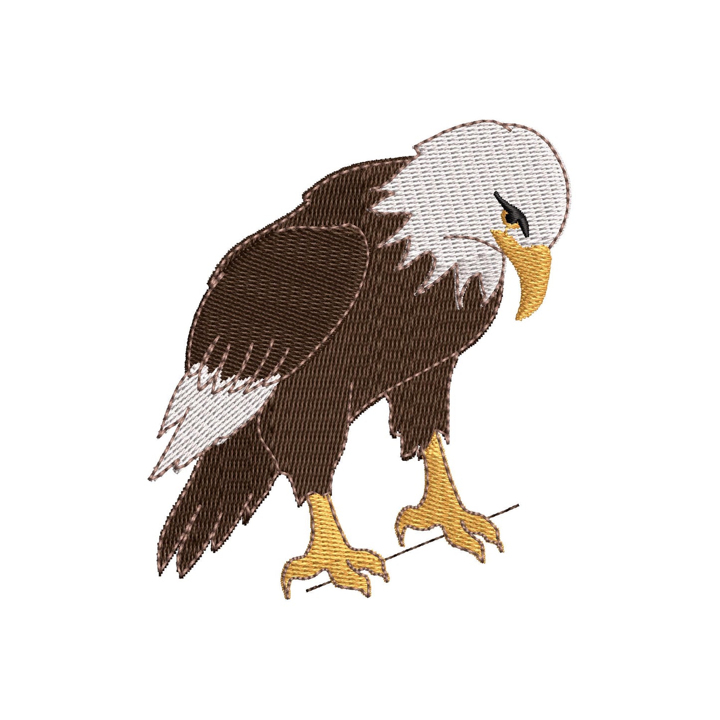Naughty Playing Bald Eagle