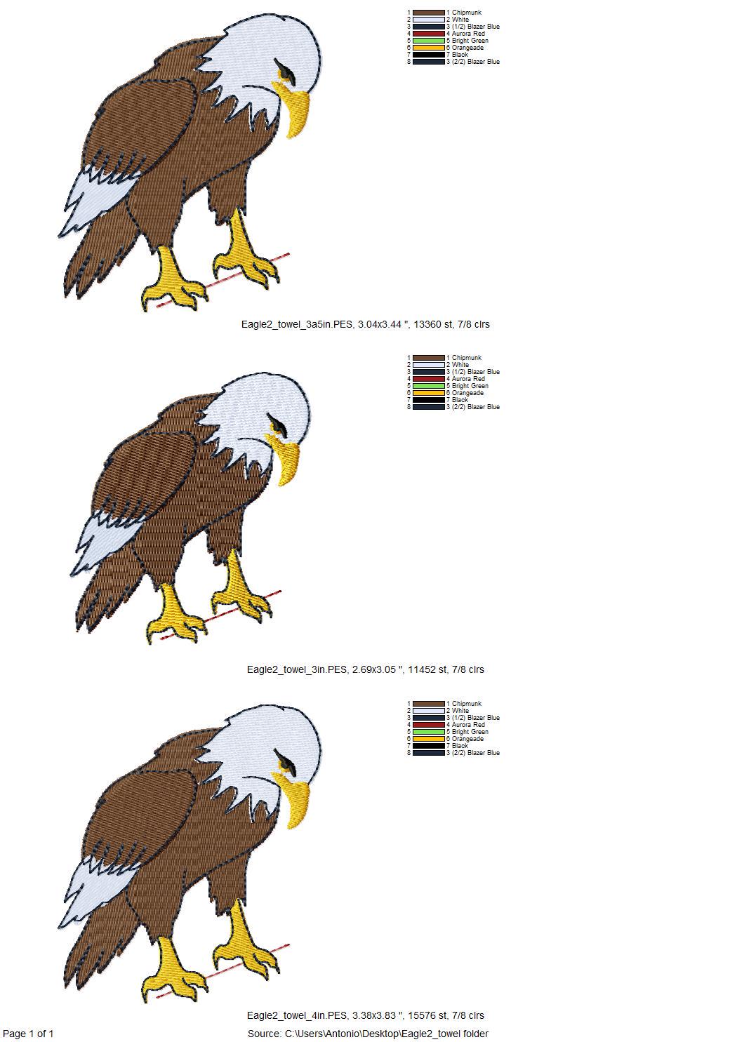 Naughty Playing Bald Eagle