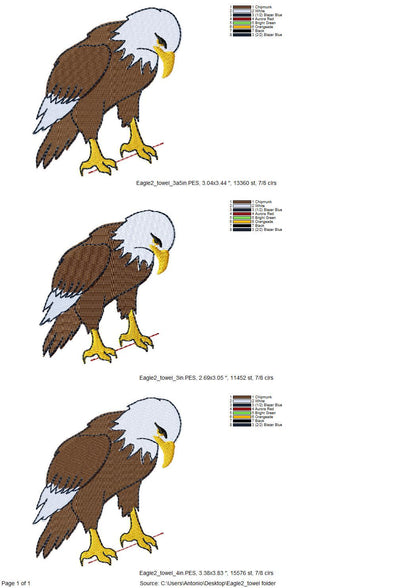 Naughty Playing Bald Eagle